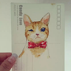 色纂色采集到插画-卡通