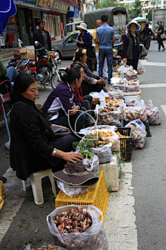 汇联皆景采集到川藏北线美食特产