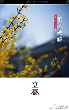 古典新风尚的照片 - 微相册