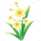 传统节气立春春天春季春日弥散花朵植物元素素材