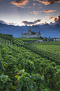 d'aigle城堡 , 瑞士(by Patrick Bellon)