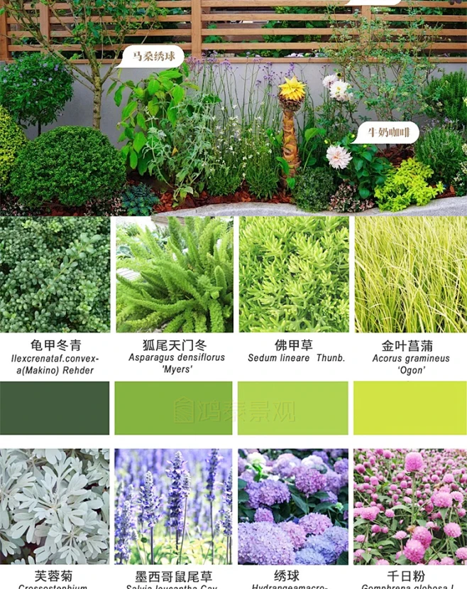 2022花境植物组团配置带名称园林景观铺装材料植物配置方案实景图-淘宝网-花瓣网