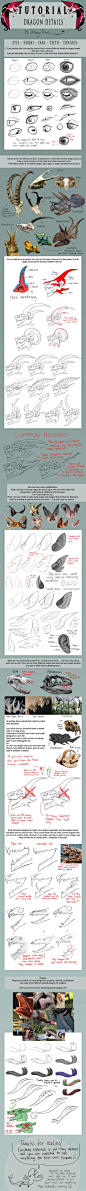 TUTORIAL: Dragon Details by SammyTorres on DeviantArt: 