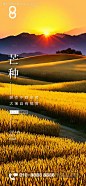 编号：20230602203250710【享设计】源文件下载-芒种节气刷屏海报