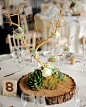 One of the table centres with little hanging glass globes, some filled with flowers and others with tea lights. the 'trees were made from bleached Manzanita branches, which are imported from California. The other details at the base were moss, ivory Avala