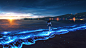 Anime 5120x2880 sunset beach water sea bioluminescence schoolgirl school uniform anime girls illustration outdoors women outdoors artwork landscape Shuu Illust standing standing in water waves digital art dark hair sunset glow sunlight city lights city sk