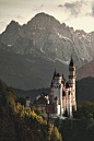 (99+) Tumblr