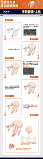 元素动力 |  手的画法分享
元素动力官网 http://yscg.cn 
元素动力微博 http://weibo.com/yscgart 
官方V信公众号：元素动力CG