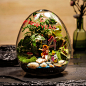 包邮DIY苔藓微景观植物蛋形创意办公植物龙猫新年生日结婚礼物-淘宝网