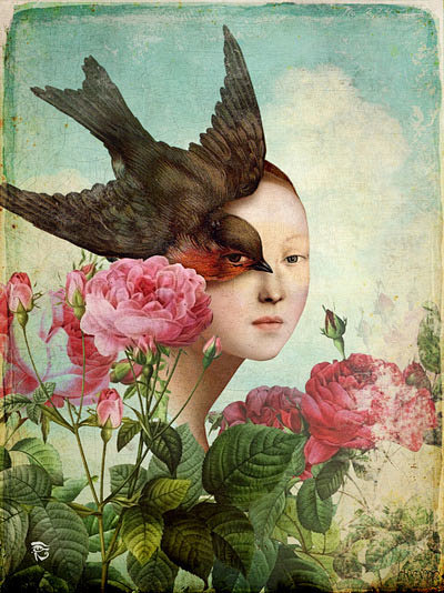 ChristianSchloe7