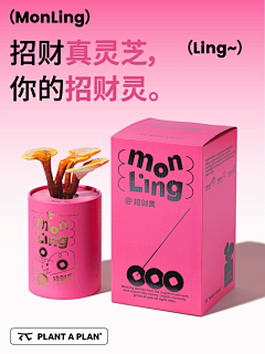 ¹¹²⁰采集到包装设计
