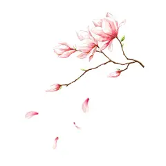 桃花  - 源文件下载【酷图网】桃花,国画桃花,桃花国画,水墨画桃花,手绘桃花,三月桃花,春节桃花,桃花花瓣,