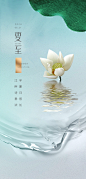 夏至节气海报【源文件淘宝搜：设计云助理】