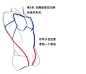 《上半身体块设计绘制画法》，只要造型对了，结… - 半次元 - ACG爱好者社区