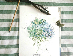 安素Sophie-blue采集到水彩花卉