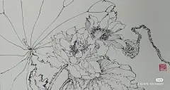 来自分享