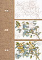 国画枇杷！_麦可南__插画师作品_涂鸦王国gracg.com
- - - - - - - - - - - - - -
 ——→ 【 率叶插件，让您的花瓣网更好用！】> https://lvyex.com