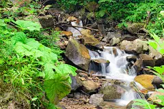 高山流水
