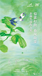 惊蛰