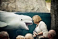 好奇的白鲸宝宝。这只白鲸名叫朱诺，在2011年的时候它为了观察水族馆奇妙的蓝星人，差点把自己压扁在了玻璃壁上。随后朱诺又参加了几场婚礼，她默默地站在新人的身后抢镜....