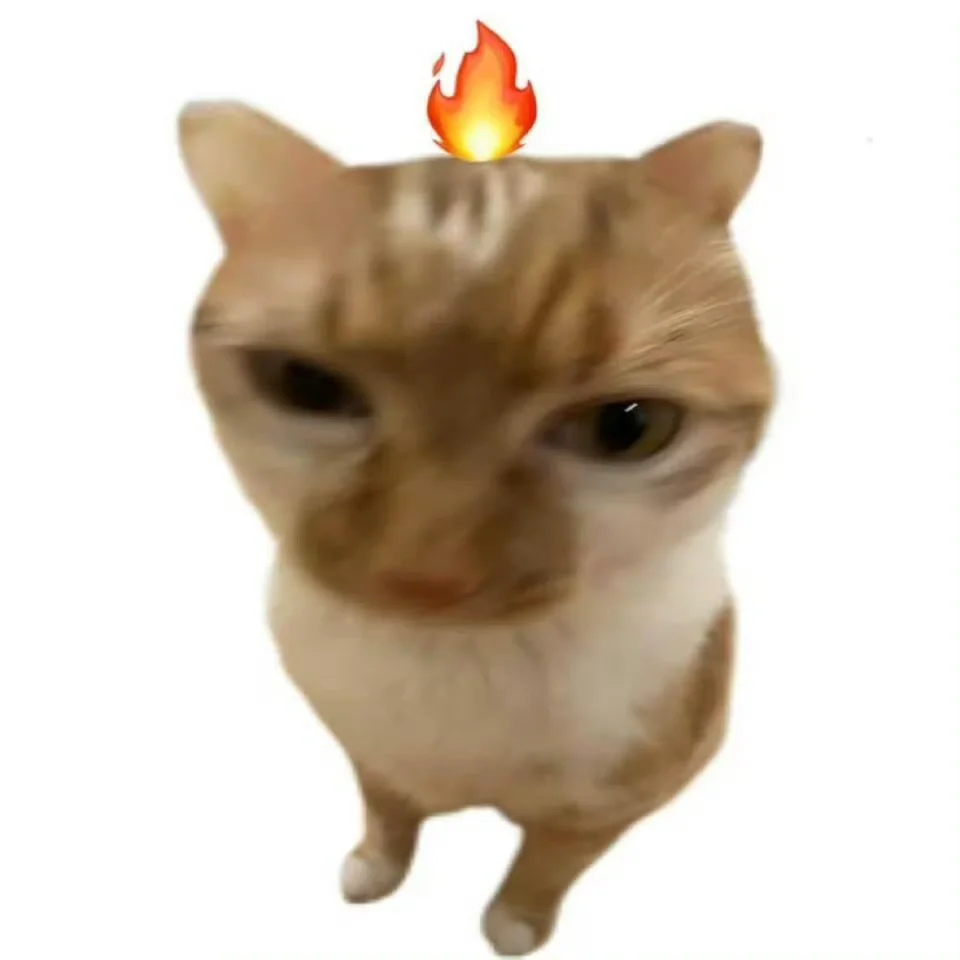 猫咪抽象表情包- 小红书