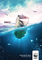 WWF: Pollution of the Seawater, 2
