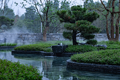 00喜羊羊00采集到水景