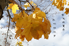 风色2016采集到随手做的图