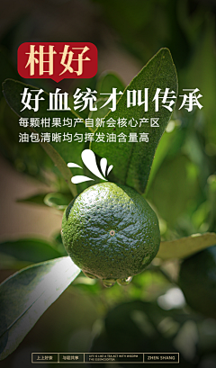若兰唯一采集到茶叶详情排版