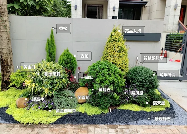 一组入户植物造景搭配 - 小红书-花瓣网