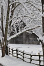 snowandcoco: ツ new seasonal blog, follow snowandcoco for more winter ツ: 