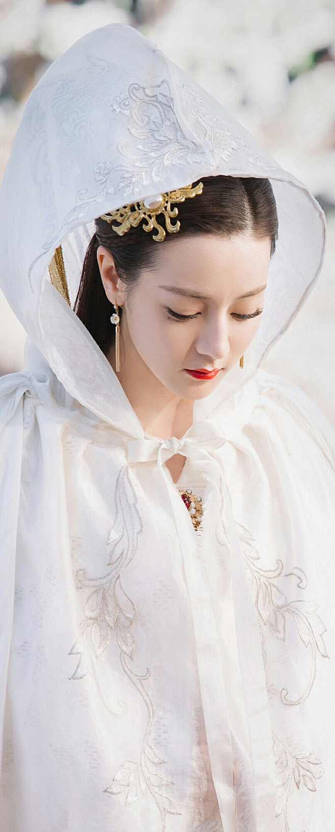 三生三世枕上书白凤九小九阿兰若迪丽热巴