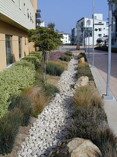 耶博小可爱biu~采集到Landscape丨雨水花园、海绵城市