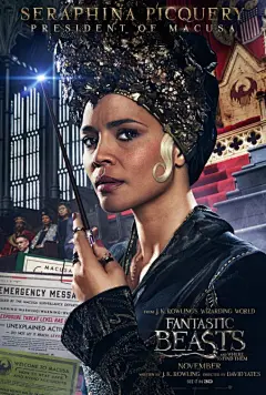 电影海报欣赏：神奇动物在哪里 Fantastic Beasts and Where to Find Them