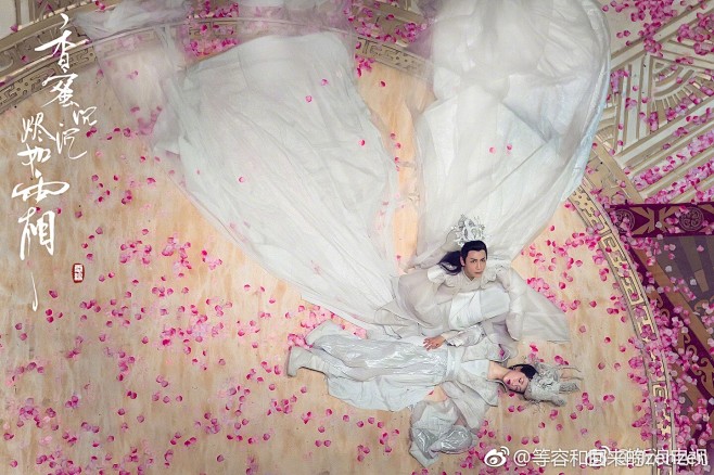 香蜜沉沉烬如霜润玉锦觅罗云熙杨紫