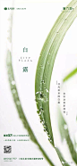 057白露