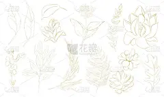 金色的夏季线DIY花卉元素集手绘热带干棕榈叶，热带花卉枝金色的叶子。浪漫的花束完美的婚礼贺卡，邀请和
