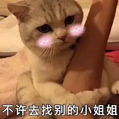 吃醋小姐姐表情包合集｜不许去找别的小姐姐_手机搜狐网