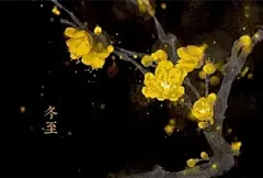 二十四节气对应的花朵 : 1、立春2月3-5日(阴历腊月十六日)：迎春花迎春花与梅花、水仙和山茶花统称为“雪中四友”，当迎春花开放的时候说明离春天也就不远了，这时候天气也渐渐回暖，所以十四节气对应的花...