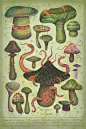 【#游戏美术|原画|插画|角色|场景|概念|漫画#】_V L A D I M I R充满想象力昆虫蘑菇-动植物王国插画 - CG织梦网