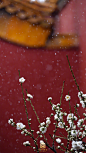 #紫禁城的初雪# 雪里已知春信至 ​​​​