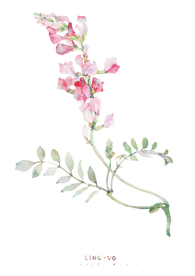 花草、水墨、封面、淡雅、唯美、插画、古风