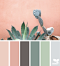 { cacti color } image via: @mijn.grid