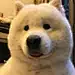 世界℡