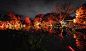 Moment_Factory_Cultural_and_Educational_Light_Cycles_TLB08331-ARW_DxO_DeepPRIME-HR-WS