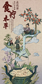 中医药插画get - 小红书