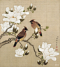 清 余稚 《花鸟图册-玉兰》