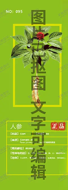 人参 【酷图网】圆参,黄参,棒槌,人衔,鬼盖,神草,土精,地精,海腴,人葠,手绘,插画,线描,白描,国画,素描,包装设计元素,设计元素,插图,插画手稿,中药名插画,中药手绘,野生,高山,药丸,文化艺术,绘画书法,平面,设计,广告设计