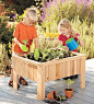 kid garden.  i love this idea!: 