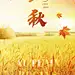 企业实景感立秋节日祝福全屏竖版海报